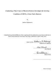 Andrew Kamemoto HP Cover Sheet