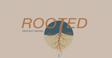 Rooted: Solitude and Silence